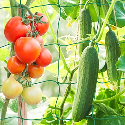 KINGLAKE Ranknetz für Kletterpflanzen, Gurkennetz 3.6X1.8M, Rankhilfe Gurken Netz, Pflanzennetze Kletternetz, Hochbeet Rank Netz, Rankgitter für Gewächshaus Garten Bohnen Tomaten-Grün