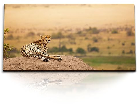 Paul Sinus Kunstdruck Bilder 120x60cm Gepard Afrika Landschaft Steppe Tierfotografie
