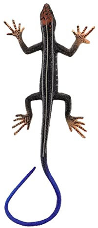 MUSISALY Kniffliges Spielzeug Eidechse Für Kinder Gecko Künstliches Modell Reptil Eidechse Eidechsen Spielzeug Katzenspielzeug Spielzeug Für Bärtige Drachen Gefälschte Eidechse Plastik