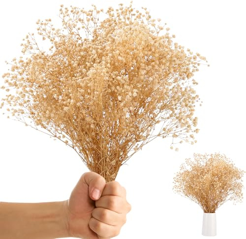 3500+ Getrocknetes Schleierkraut-Blumenstrauß,Schleierkraut Getrocknet Trockenblumen deko,Weiß Natürlich Gypsophila Trockenblumen,echte Gypsophila für Hochzeit, Tischvasendekor, DIY-Kranzfloristik, Bü