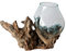 Geschenk Deko Gamal Wurzelholz B-Ware Glasvase Ø Glas 17-19 cm Wurzel Holz Teakholz Vase Glas L