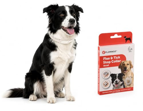 Flamingo Anti puces Chien - Collier Anti parasites Batali - Anti tiques et puces - Collier seresto Chien - 74cm