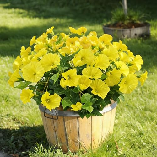 Aisamco 6 Mazzetti Ipomea Seta UV Resistente | Fiori artificiali, Casa vaso, Portico patio, Interno esterno, Balcone, Giallo