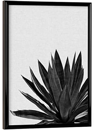 artboxONE Poster mit schwarzem Rahmen 18x13 cm Natur Ginkgo Palm Black White - Bild Palme Pflanze Agave