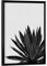 artboxONE Poster mit schwarzem Rahmen 18x13 cm Natur Ginkgo Palm Black White - Bild Palme Pflanze Agave