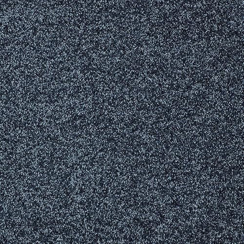 BRICOFLOR Flauschiger Teppichboden dunkelblau Frisé Teppich Meterware in 400 und 500 cm Breite Teppichboden Auslegware Velours Qualität (4 m x 2 m)