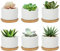 FORAGIFT 7.5CM Succulent Plant Pots, Simple Design Round Small Flower Pot, White Ceramic Cactus Pots with Bamboo Tray and Drainage Hole, Great for Home Office Decor, Set of 6 (Plants Not Included)