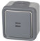 Legrand, 191513 Plexo - Conmutador de pared luminoso, Interruptor estanco de superficie, resistente al agua (IP55), Gris