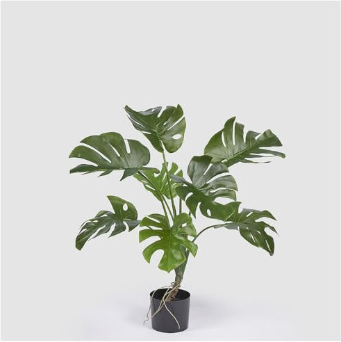 EDG Enzo De Gasperi Monstera pianta Artificiale Finta con Vaso da Interno o Esterno H100 cm
