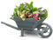 Wheelbarrow Planter Large Wooden Garden Planter Outdoor Garden Planters Wheel barrow Planters for Flowers & Plants Decorative Raised Flower Pot for Patio Yard Balcony Easy Assembly