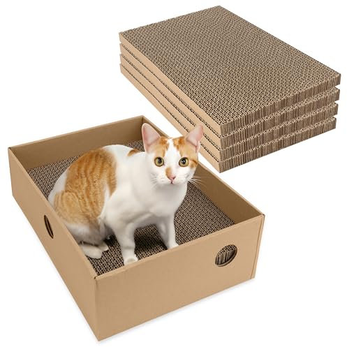 Belle Vous Set de 5 Piezas Cartón Rascador Gatos con Caja Cama - 24 x 33 cm - Arañador para Gatos Reversible - Cartón Corrugado Interior para Gatos y Gatitos para Jugar y Descansar