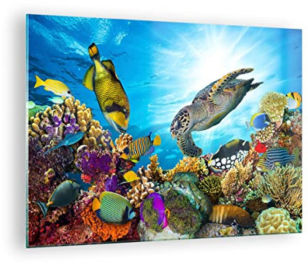 Bilder auf Glas Riff Koralle Fisch Glasbild 70x50cm Wandbilder Dekoration Wohnzimmer Schlafzimmer Küche Deko Klein Wanddeko Bild im Glas Wand Kunstdruck Art Modern Wall Decor Glasdruck GAA70x50-3704