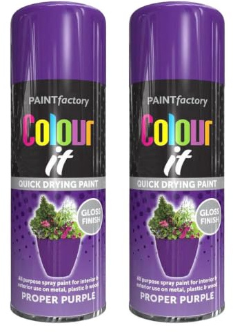 All Purpose Proper Purple Spray Paint 400ml x 2 | Gloss Finish Quick Drying Paint for Interior & Exterior use on Metal, Plastic & Wood