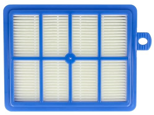 vhbw 1x Filtre compatible avec Tornado Boldio | Serenys, Magnum, 6000, Super Pro, Essensio, TO4620 aspirateur - Remplacement pour AEF 13 W, AEF13W, H13