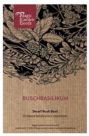 Buschbasilikum (Ocimum basilicum v. minimum) 200 Samen buschiges Basilikum