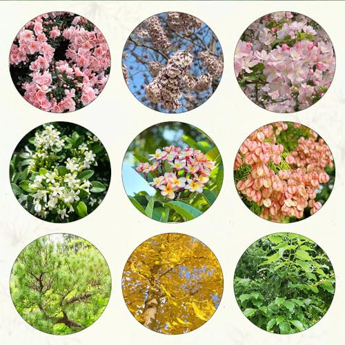 1620 pcs baum samen set wildblumensamen mehrjährig baumsamen set gewächshaus balkon bonsai baum bäume kaufen bienenweide saatgut nachhaltige geschenke für frauen kleines geschenk