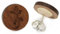 Miriquidi Gecko Holz Ohrstecker Silber 925 Sterling 11mm Paar - Nuss