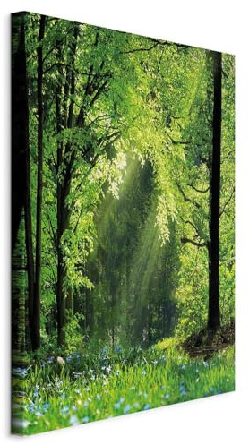murando Acoustic Canvas Wall Art Summer Forest Scene 40x60 cm, 1 Piece | Italian Canvases, Soundproofing Wall Panels Decoration, Home Decor Office, Sound Absorbing, Landscape
