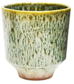 Ivyline Reactive Glaze Orchid Planter in Sage - Waterproof, Durable and Decorative - Stylish Home Indoor Round Earthenware Flower Pot - H13cm x D13cm