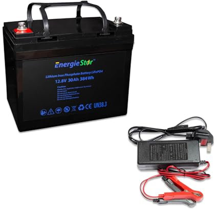 LOWENERGIE LiFePo4 30Ah Battery 12.8V, 384Wh Lithium-Ion Iron Phosphate 12V Leisure Solar Caravan (Battery plus charger)