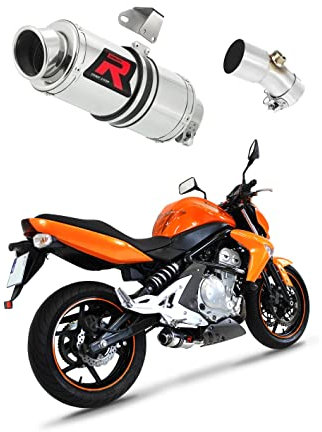DOMINATOR Pot d'échappement Silencieux GP1 compatible avec ER - 6 N/F 650 2009-2011