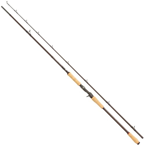 Abu Garcia Beast Pro Pike Hecht Jerk Baitcastruten