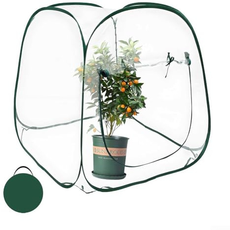 Helilyco Serre pour intérieur ou extérieur, jardin, PVC pop-up avec porte à fermeture éclair, protection des plantes d'hiver
