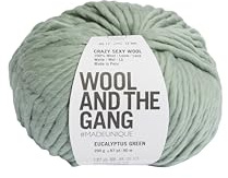 Wool and the Gang Crazy Sexy Wool, Eucalyptus Green, 200g