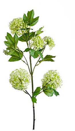 artplants.de Kunstzweig Schneeball Zweig Juvia, grün, 75cm - Deko Schneeball Blume