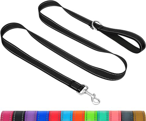 Taglory Hundeleine Mittelgroße Große Hunde Leicht | Doppelseitig Reflektierend | Gepolsterter Griff | Unterstützung 10 bis 75 kg | 1.2m x 2.5cm | Schwarz