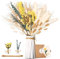 Pampasgras Trockenblumen Deko - Natürliche Pampasgras Getrocknet Flauschige Wedel, Eukalyptus Getrocknet und Lagurus Trockenblumen Strauß, Dekoration für die perfekte Hochzeit、Arrangements Heim Decor