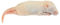 Frozen Mice - Crawlers 6-10g - Pack of 25