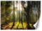 Feeby Papier Peint Intisse Nature Plantes Arbres 150x105 cm vert Décoration Murale Tableaux Poster Muraux Chambre Enfant Salon Salle Cuisine Coucherr Forêt Lumière Du Soleil
