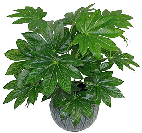 Leaf Design UK Realistic Large Artificial Foliage Plant with Pot, Aralia,60cm, AZ-FOLIAGE