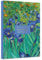 A5 Planer und Notizblock mit Haftnotizen – Van Gogh Iris Design