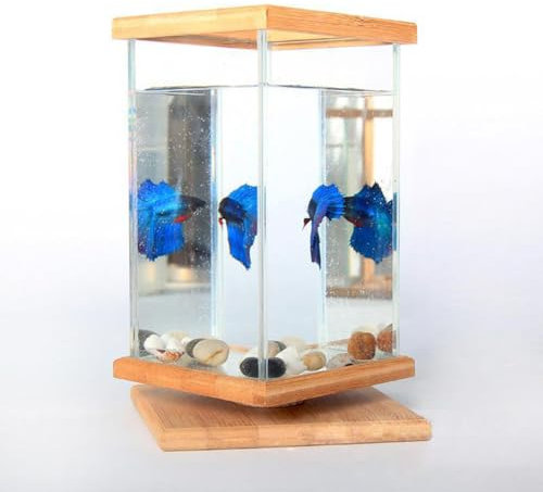 UPWONEC Bamboo Plastic Betta Fish Tank, Transparent Desk Top Fish Bowl, 360° Lazy Susan Rotating Ornamental Fish Tank, Clear Rectangular Fish Bowl with Light Lid, Home Decor Betta Fish Aquarium