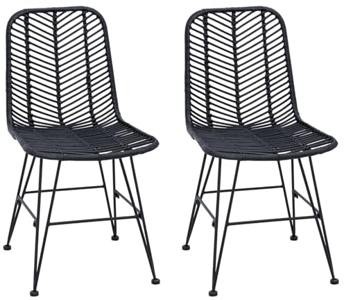 vidaXL Silla de Comedor 2 uds. Ratan e Hierro Negro