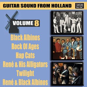 Guitar Sound From Holland Vol. 8