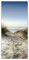 Wallario Selbstklebende Türtapete mit Schutzlaminat Weg durch die Dünen zum Strand am Meer - Türposter 93 x 205 cm Abwischbar, rückstandsfrei zu entfernen