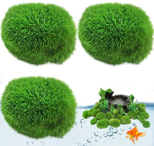 Dbvnnsy 3pcs Balles de Mousse Plantes à Poisson, 1,2-1,6 Roches de Mousse Boules de Mousse artificielles décoratives Fausses mousseurs d'herbe d'aquarium pour Terrarium Aquarium microlandscape