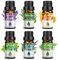 Bledras Ätherische Öle Set, 100% Natürliche Duftöle Set für Diffuser Aromatherapie Entspannung, Reine Essential Oils, Lavendel, Teebaum, Duftöl Geschenkset