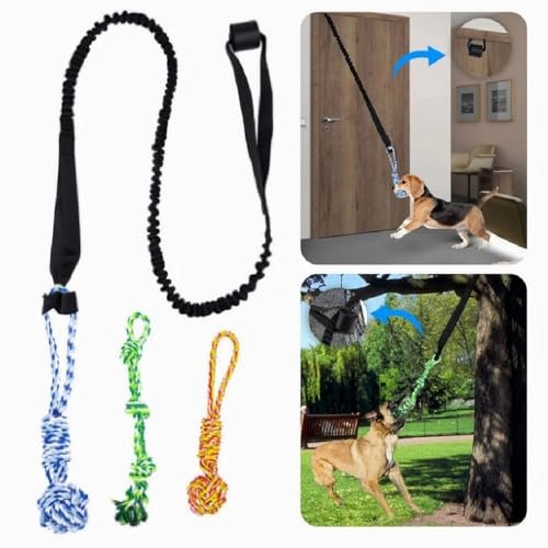 Hundespielzeug mit Federstange, Baum, Bungee-Hängespielzeug, für drinnen und draußen, interaktives Übungsspielzeug, Zieh- und Ziehspielzeug, Hundespielzeug mit Kauseil, Solo-Spiel für mittelgroße bis