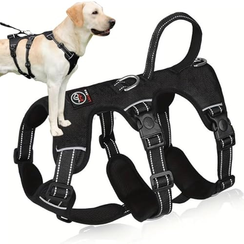Lalazoo ELBA Sicherheitsgeschirr Hund ausbruchsicher – Verstellbares No-Pull Hundegeschirr gepolstert & reflektierend mit Griff & 6-Punkt-Verstellung – Robustes Anti-Ausbruch Geschirr – Schwarz, L