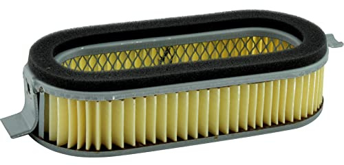 Genuine Gsx 550 E Airbox Filter Case Air Filter