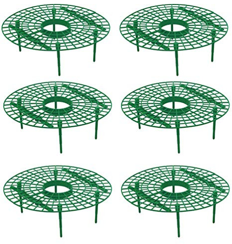 Hemoton 6pcs Erdbeeren Stütze Erdbeer Rankhilfe Pflanzenstütze Erdbeer Wachstumsregal Salat Tomaten Beere Rankhilfe Pflanzenstütze Kunststoff Hausgarten Garten Gewächshaus Grün Gartengeräte