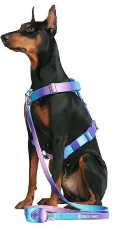 Spark Paws No Pull Hundegeschirr Grosse Hunde, Halterdesign mit Frontclip, Y Geschirr Hund, Robust und Strapazierfähig Harness für Große und Starke Rassen - 90s Retro, S