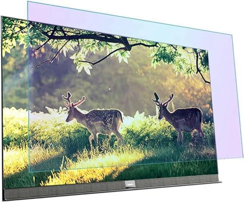 CIADAZ Anti-Blaulicht TV-Bildschirmschutz, Drinnen draußen Blendschutz/Kratzschutz Filterfolie Augenermüdung lindern für LCD, LED, OLED & QLED/A / 60in 1338/756mm