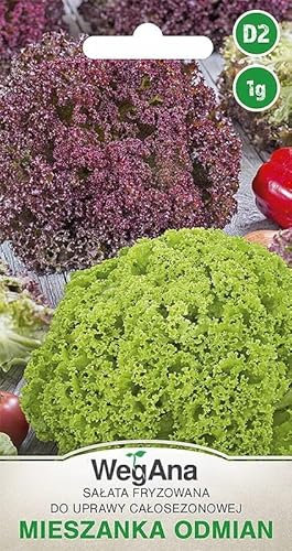 WegAna Semi di lattuga a testa di burro 1g, Semi di lattuga robusta, Semi di ortaggi, Semi per la coltivazione, Semi per la serra