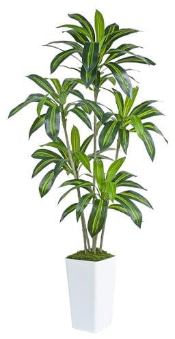 Plante Artificielle Dracaena Intérieur 180cm Arbre Artificiel Dracaena Faux Arbre en Soie avec Jardinière Blanche Faux Tropical Yucca Floor Plant pour Bureau à Domicile Décorati (1, Blanc, 180CM)