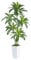 Dracaena Artificiale per Interni 180cm Albero Finto con Fioriera Bianca Alta, Pianta Finta Alta in Vaso, Pianta di Seta Artificiale per la Decorazione Della Casa, Ufficio, Soggiorno, Veranda, Patio